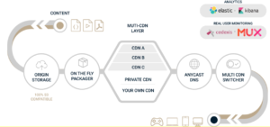 Private CDN as part of multi-CDN